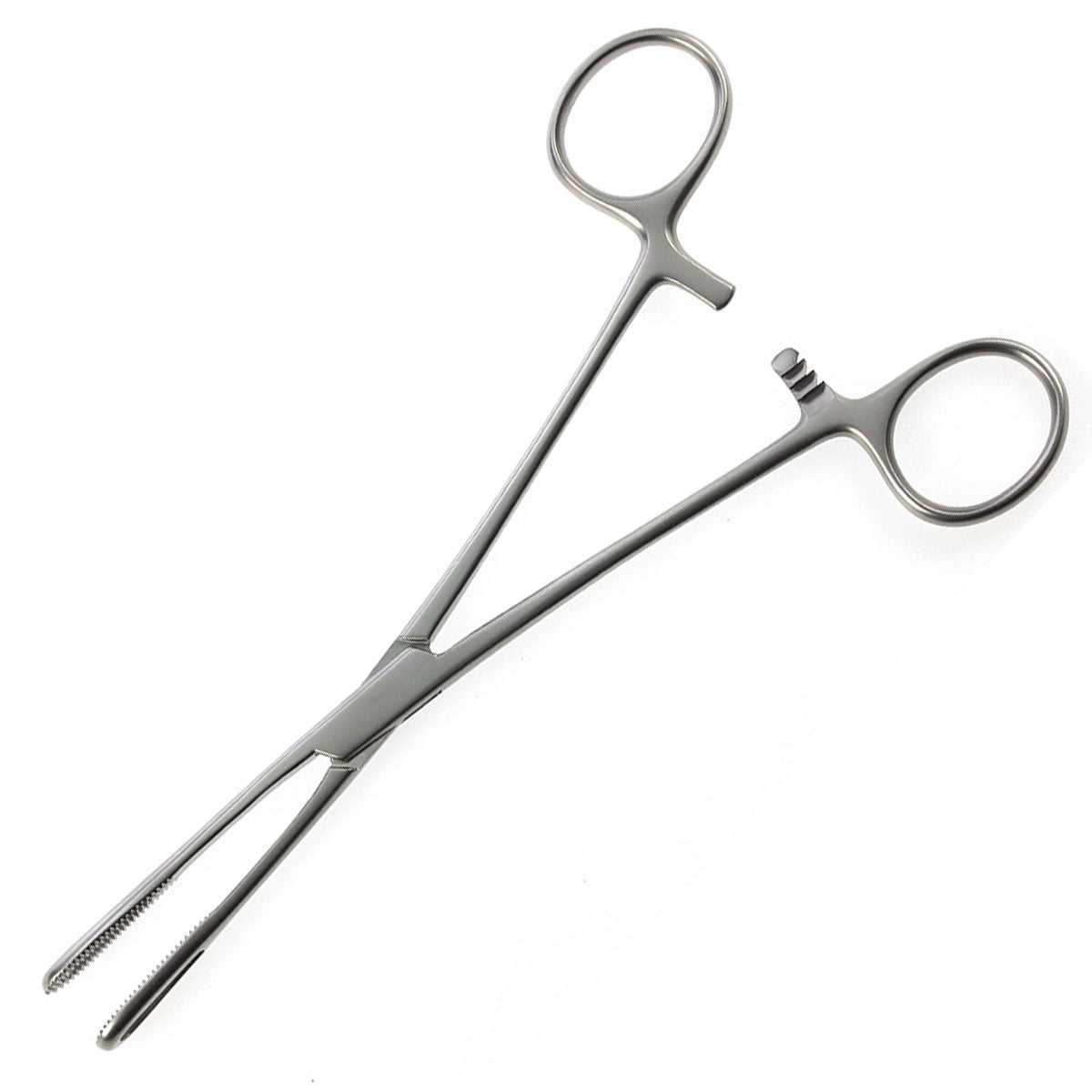 Rampley Sponge Holding Forceps