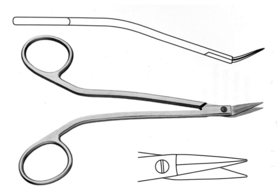 Walter Dorsal Scissors