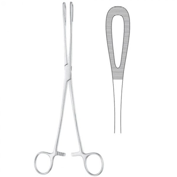 Rampley Sponge Holding Forceps